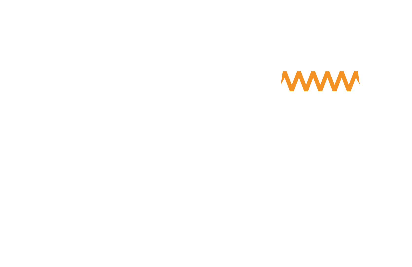 logo220volts